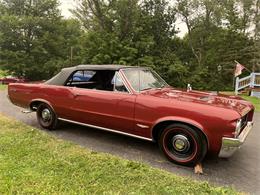 1964 Pontiac GTO (CC-2103550) for sale in Saratoga Springs, New York