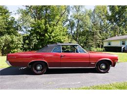 1964 Pontiac GTO (CC-2103550) for sale in Saratoga Springs, New York