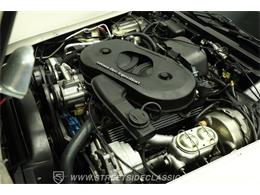 1982 Chevrolet Corvette (CC-2100356) for sale in Lutz, Florida