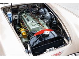 1967 Austin-Healey 3000 (CC-2103575) for sale in Saratoga Springs, New York