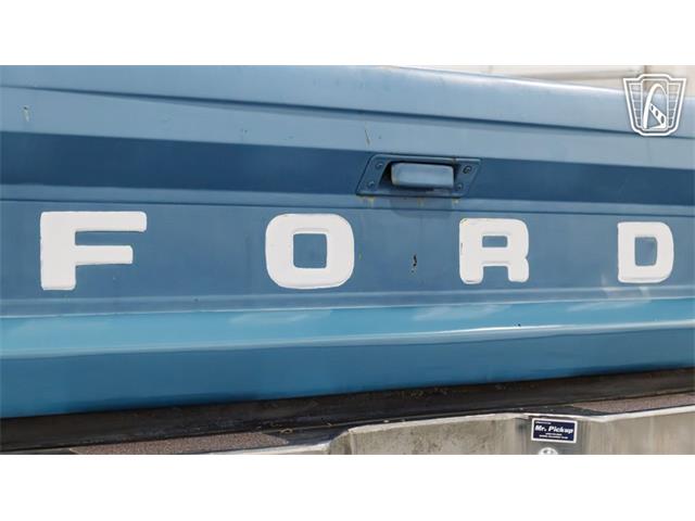 1965 Ford F100 (CC-2100360) for sale in New Braundfels, Texas