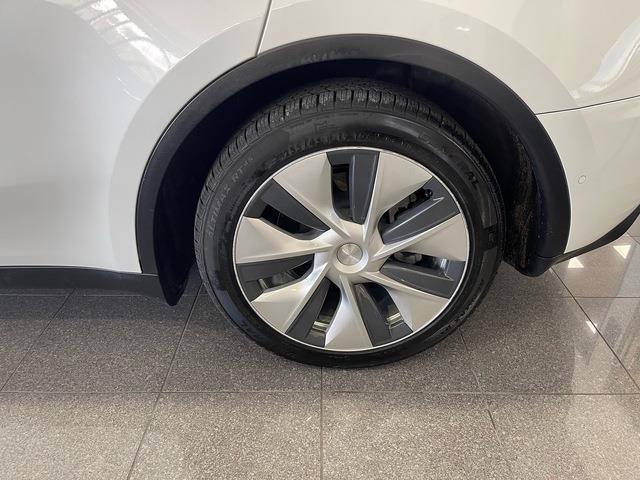 2021 Tesla Model Y (CC-2103606) for sale in Jacksonville, Florida