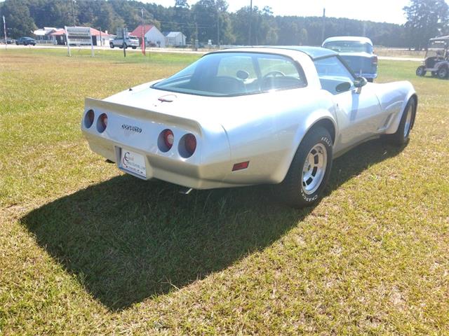 1981 Chevrolet Corvette (CC-2103648) for sale in Greenville, North Carolina