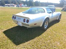 1981 Chevrolet Corvette (CC-2103648) for sale in Greenville, North Carolina