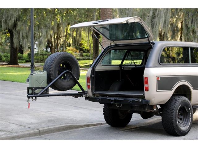 1978 International Scout (CC-2103672) for sale in Savannah, Georgia
