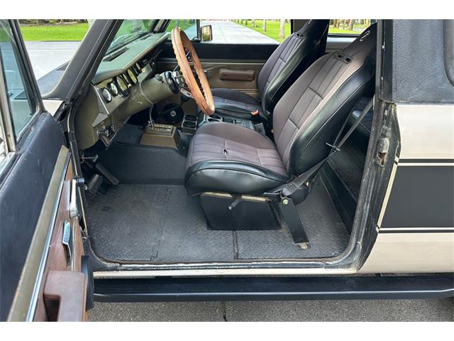 1978 International Scout (CC-2103672) for sale in Savannah, Georgia