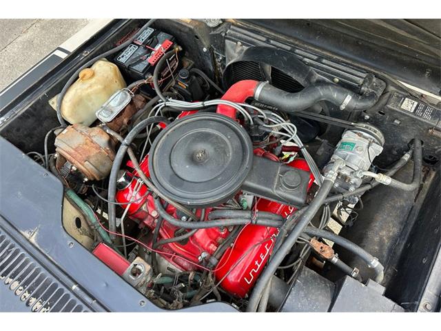 1978 International Scout (CC-2103672) for sale in Savannah, Georgia