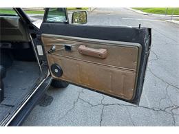 1978 International Scout (CC-2103672) for sale in Savannah, Georgia