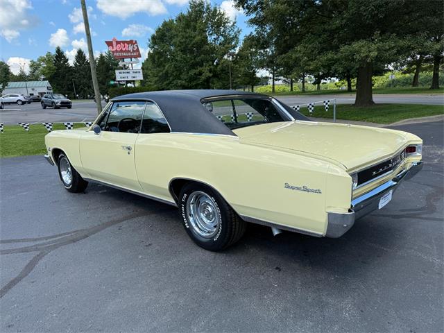 1966 Chevrolet Chevelle (CC-2103676) for sale in Paris , Kentucky
