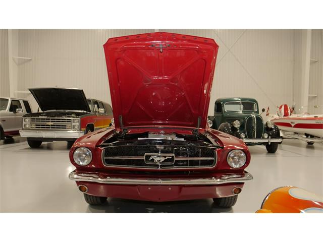 1965 Ford Mustang Fastback (CC-2103692) for sale in Watford, Ontario