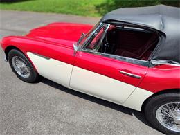 1964 Austin-Healey 3000 Mark II (CC-2103693) for sale in Charlottesville, Virginia