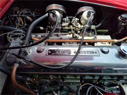 1964 Austin-Healey 3000 Mark II (CC-2103693) for sale in Charlottesville, Virginia