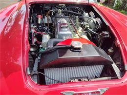 1964 Austin-Healey 3000 Mark II (CC-2103693) for sale in Charlottesville, Virginia