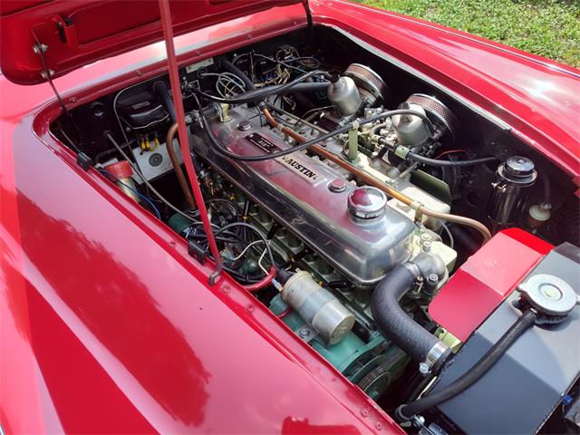 1964 Austin-Healey 3000 Mark II (CC-2103693) for sale in Charlottesville, Virginia