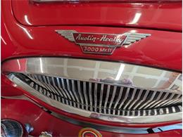 1964 Austin-Healey 3000 Mark II (CC-2103693) for sale in Charlottesville, Virginia