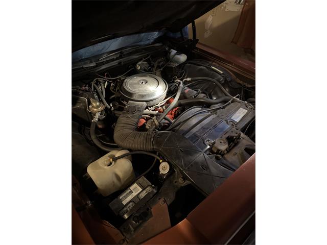 1975 Chevrolet Caprice Classic (CC-2103710) for sale in Phoenix, Arizona