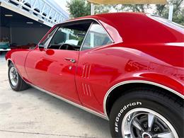 1967 Pontiac Firebird (CC-2103761) for sale in Bradenton, Florida
