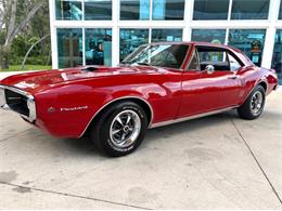1967 Pontiac Firebird (CC-2103761) for sale in Bradenton, Florida