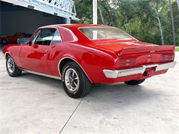1967 Pontiac Firebird (CC-2103761) for sale in Bradenton, Florida
