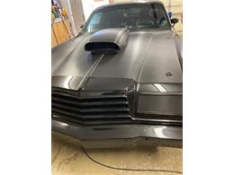 1978 Dodge Magnum (CC-2103783) for sale in Cadillac, Michigan