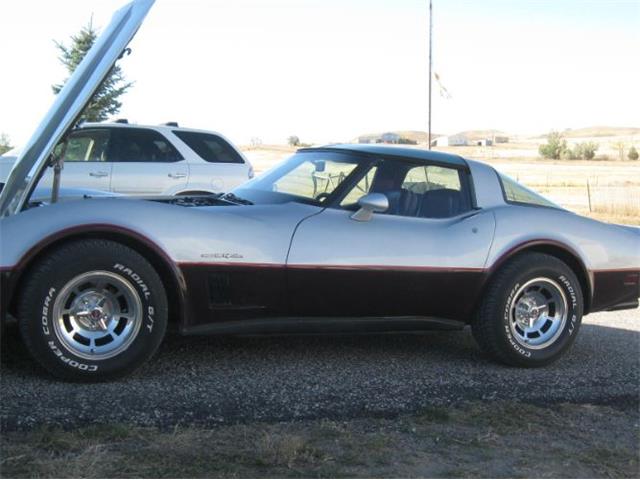 1982 Chevrolet Corvette (CC-2103788) for sale in Cadillac, Michigan