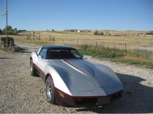 1982 Chevrolet Corvette (CC-2103788) for sale in Cadillac, Michigan