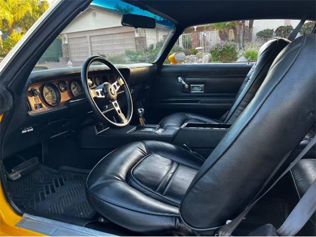 1973 Pontiac Firebird (CC-2103799) for sale in Cadillac, Michigan