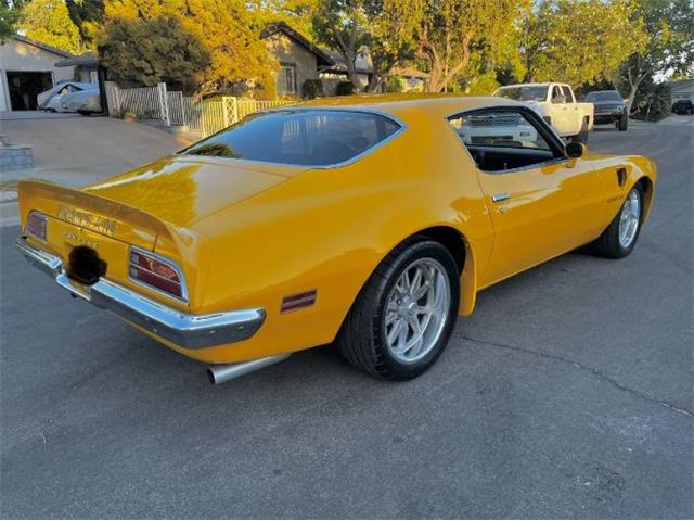 1973 Pontiac Firebird (CC-2103799) for sale in Cadillac, Michigan
