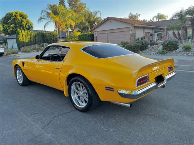 1973 Pontiac Firebird (CC-2103799) for sale in Cadillac, Michigan