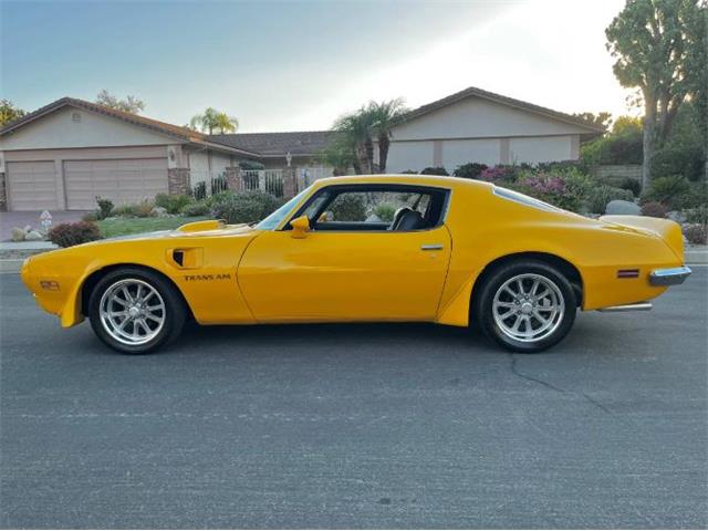 1973 Pontiac Firebird (CC-2103799) for sale in Cadillac, Michigan