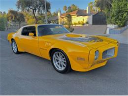 1973 Pontiac Firebird (CC-2103799) for sale in Cadillac, Michigan