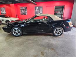 2001 Ford Mustang GT (CC-2103804) for sale in Cadillac, Michigan