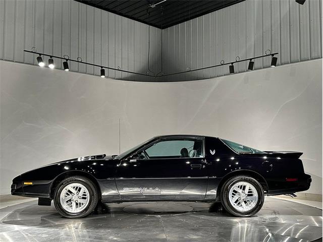 1989 Pontiac Firebird (CC-2103829) for sale in Depew, New York