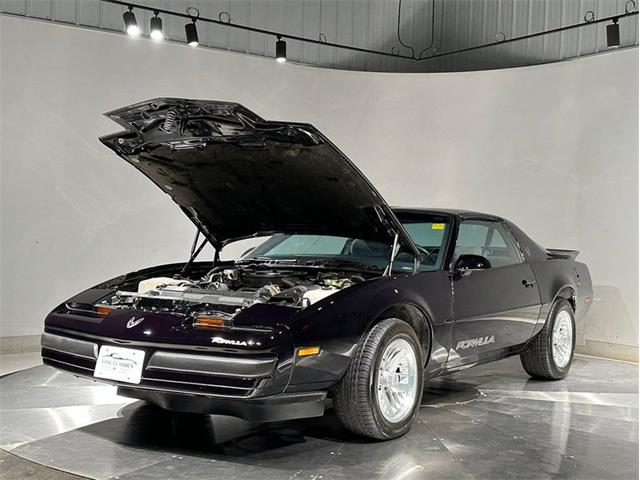 1989 Pontiac Firebird (CC-2103829) for sale in Depew, New York