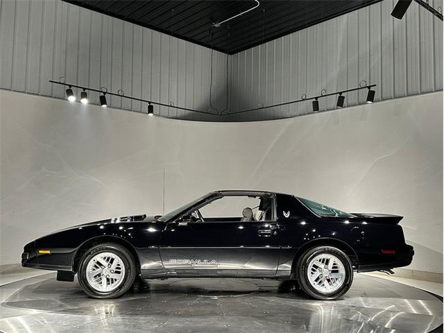 1989 Pontiac Firebird (CC-2103829) for sale in Depew, New York