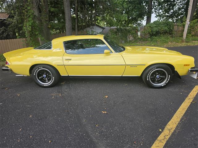 1977 Chevrolet Camaro LT (CC-2103889) for sale in Canton, Ohio
