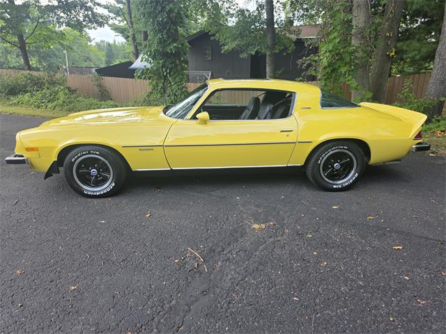 1977 Chevrolet Camaro LT (CC-2103889) for sale in Canton, Ohio