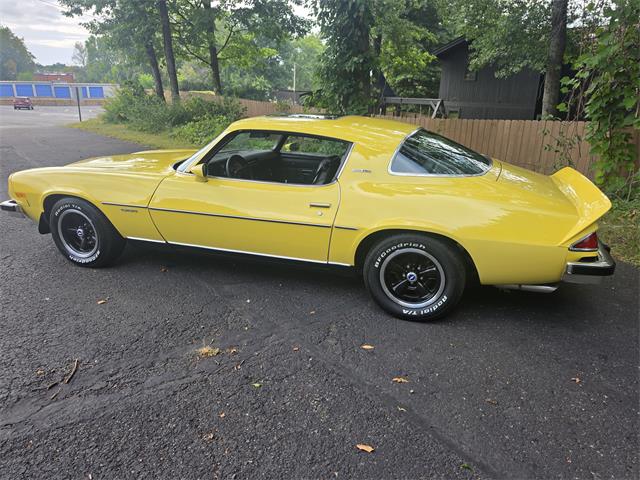 1977 Chevrolet Camaro LT (CC-2103889) for sale in Canton, Ohio