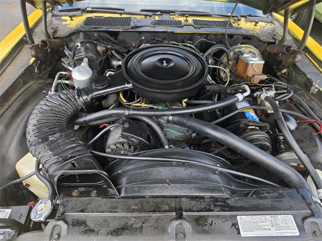1977 Chevrolet Camaro LT (CC-2103889) for sale in Canton, Ohio