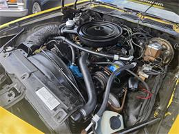 1977 Chevrolet Camaro LT (CC-2103889) for sale in Canton, Ohio