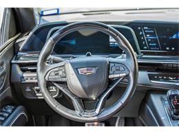 2024 Cadillac Escalade (CC-2103942) for sale in Georgetown, Texas
