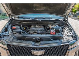 2024 Cadillac Escalade (CC-2103942) for sale in Georgetown, Texas
