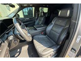 2024 Cadillac Escalade (CC-2103942) for sale in Georgetown, Texas