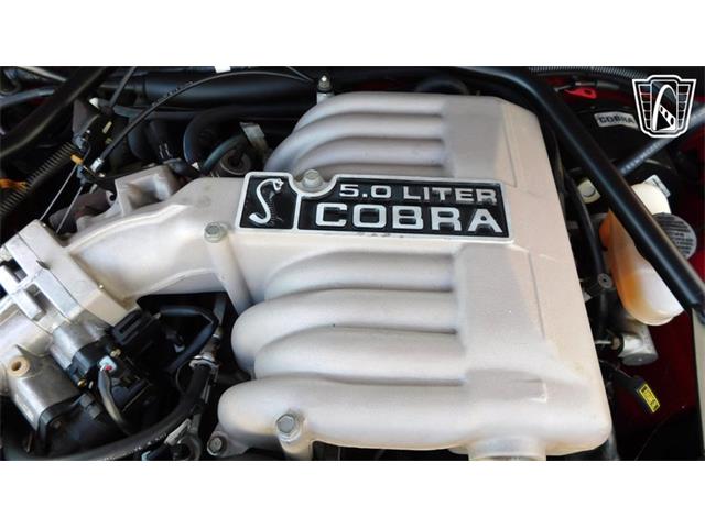 1995 Ford Mustang SVT Cobra (CC-2100397) for sale in Concord, North Carolina