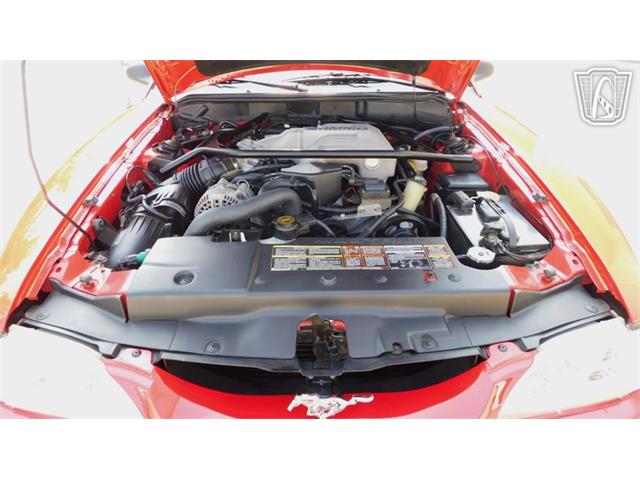 1995 Ford Mustang SVT Cobra (CC-2100397) for sale in Concord, North Carolina