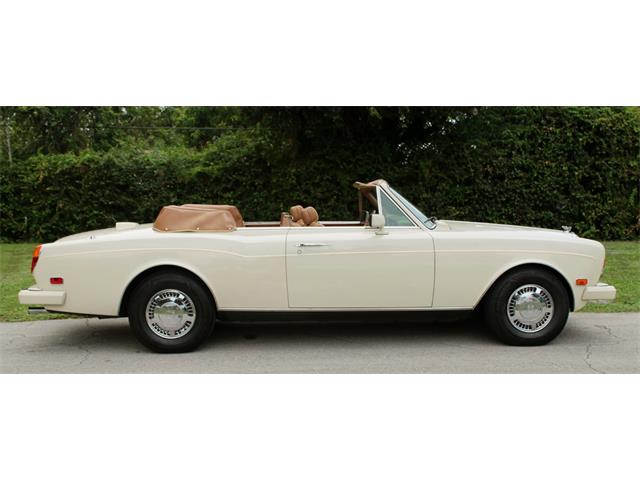 1991 Bentley Continental (CC-2103984) for sale in North Miami , Florida