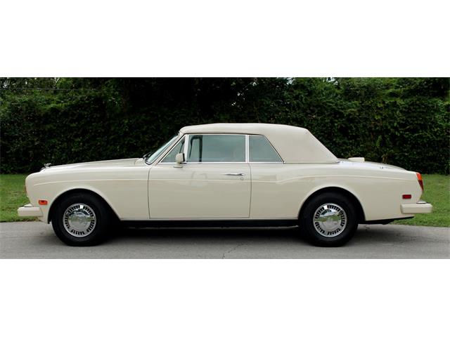 1991 Bentley Continental (CC-2103984) for sale in North Miami , Florida