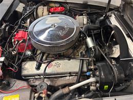 1978 Chevrolet Corvette (CC-2100004) for sale in Bradenton, Florida