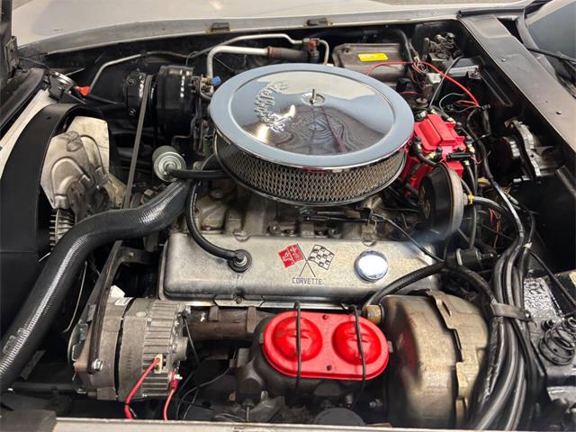 1978 Chevrolet Corvette (CC-2100004) for sale in Bradenton, Florida