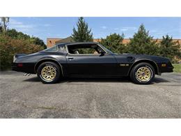 1977 Pontiac Firebird Trans Am SE (CC-2104024) for sale in Milford, Ohio